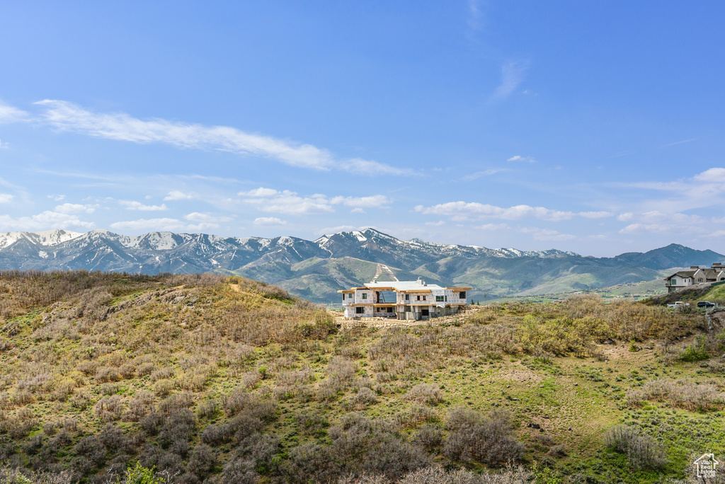 Mountain view