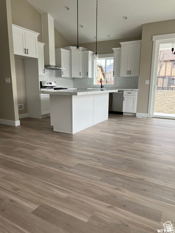 Kitchen with hardwood / wood-style floors, dishwasher, and white cabinetry