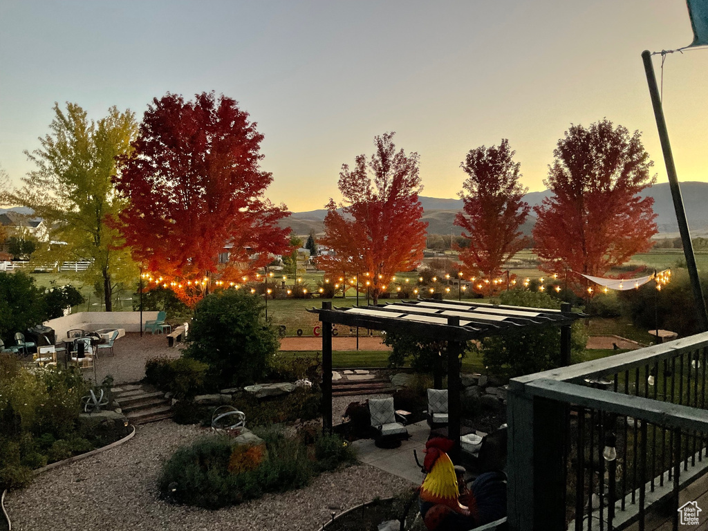 View of yard at dusk