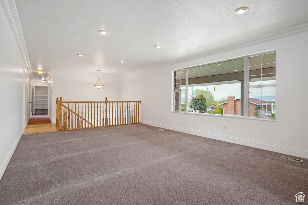 Carpeted empty room with ornamental molding and plenty of natural light