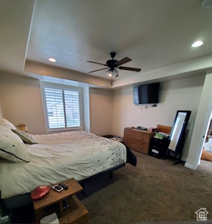 Bedroom featuring a raised ceiling, ceiling fan, and carpet