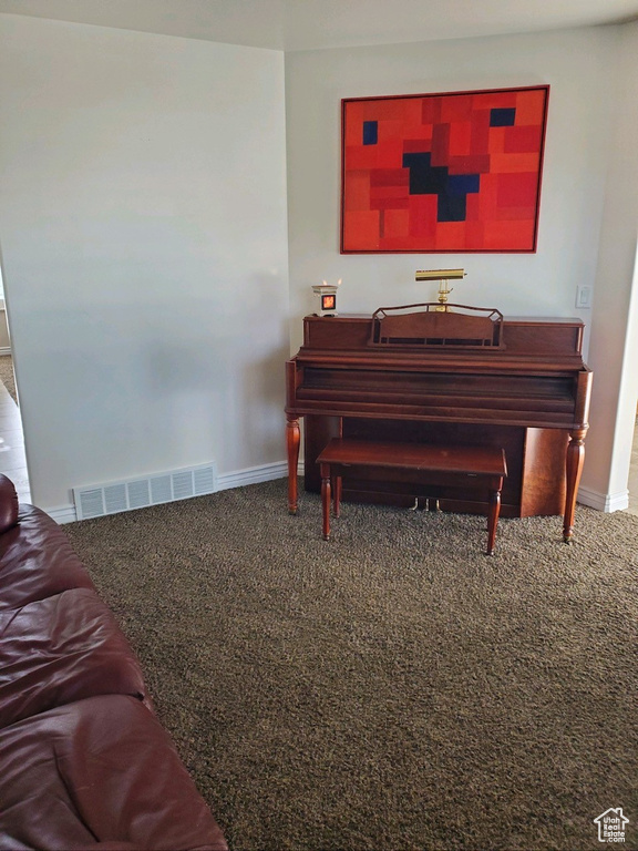 Miscellaneous room featuring carpet floors