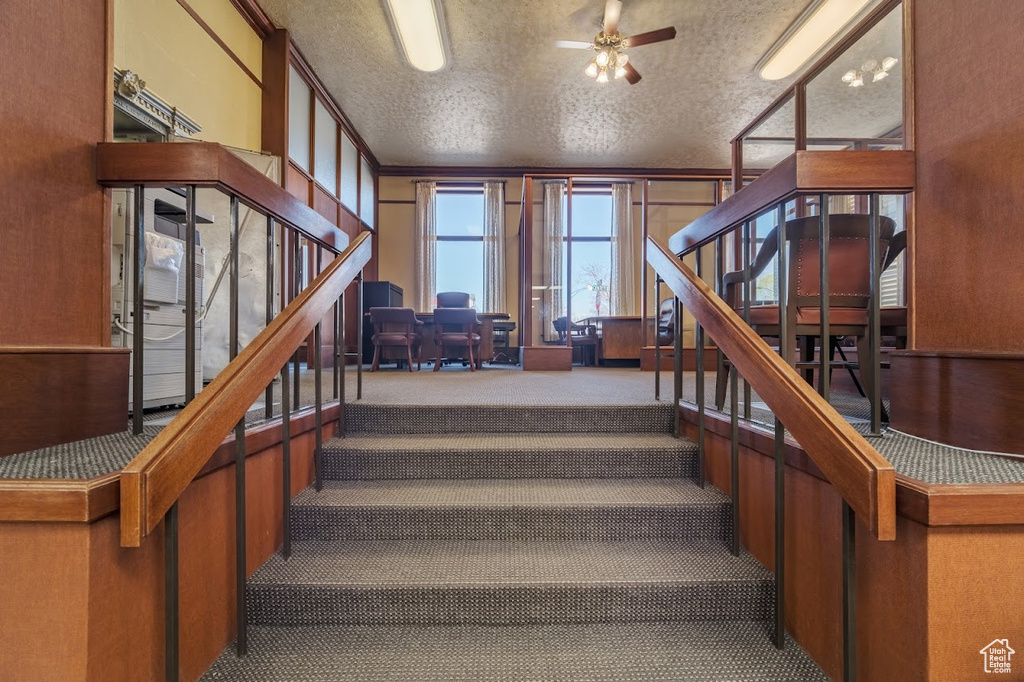 Stairway featuring carpet, ceiling fan, and a textured ceiling