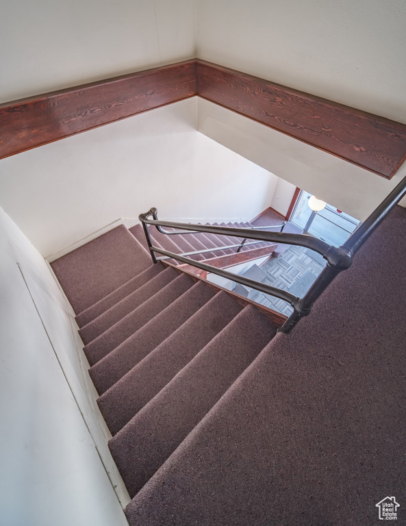 Stairs featuring carpet floors