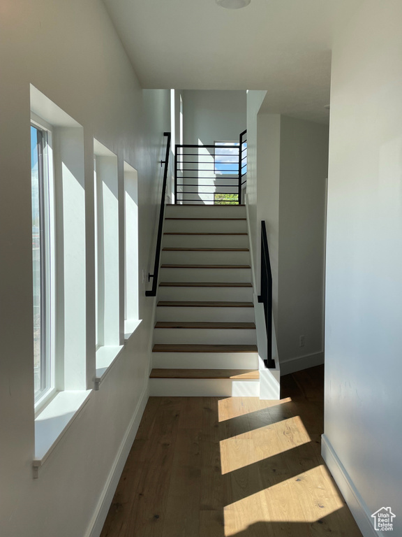 Stairway featuring wood-type flooring and plenty of natural light