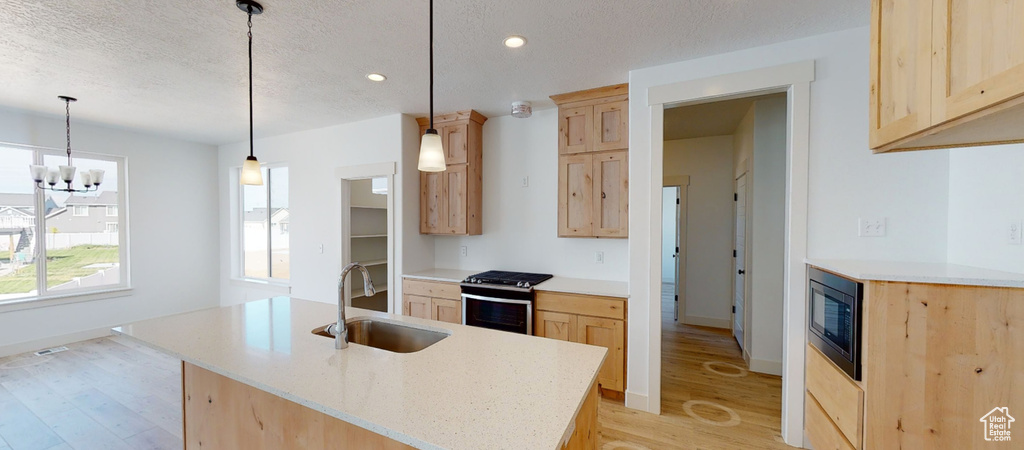 Kitchen with appliances with stainless steel finishes, sink, an island with sink, light wood-type flooring, and light brown cabinetry