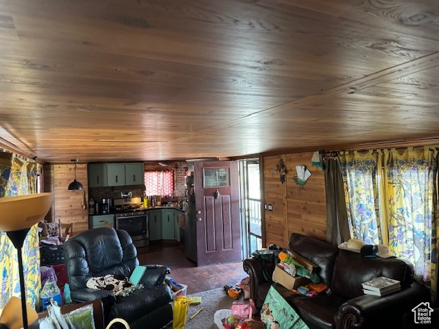 Living room with wood walls and wood ceiling