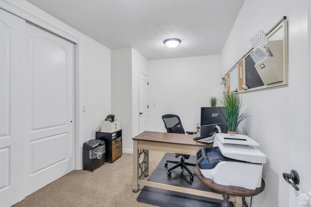 Office featuring light colored carpet