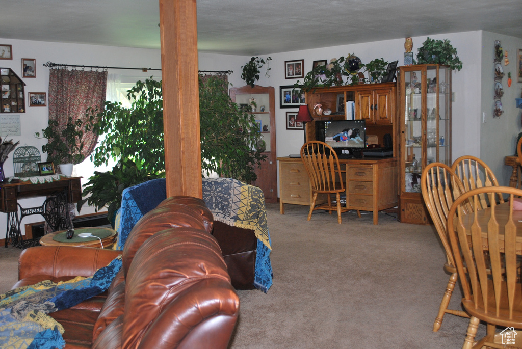 Living room featuring light carpet