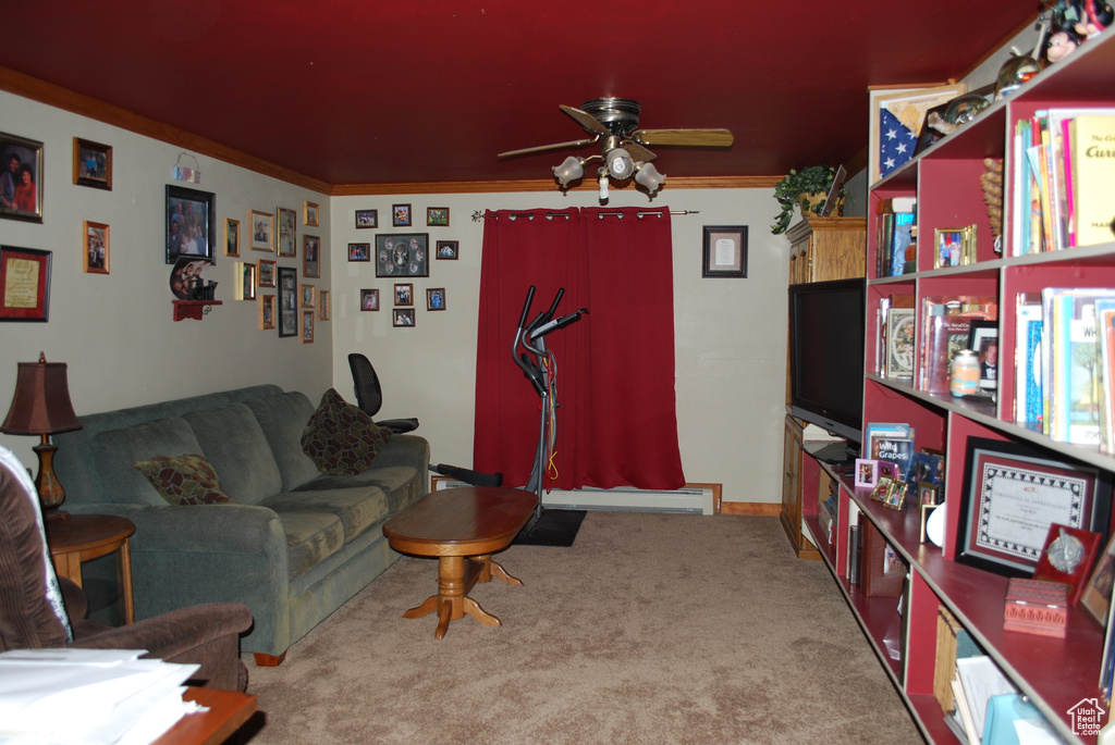 Carpeted living room with a baseboard heating unit, ceiling fan, and crown molding