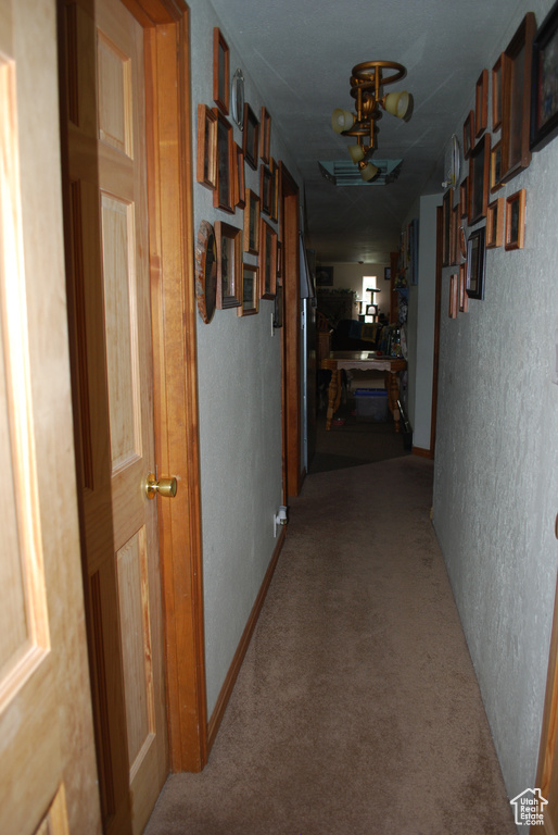 Hallway featuring carpet floors