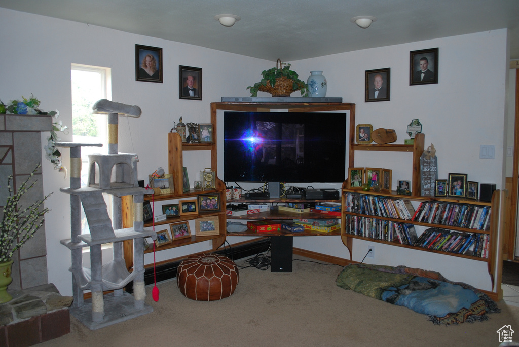 Living room with carpet flooring