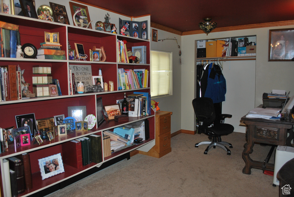 Office space featuring carpet and ornamental molding