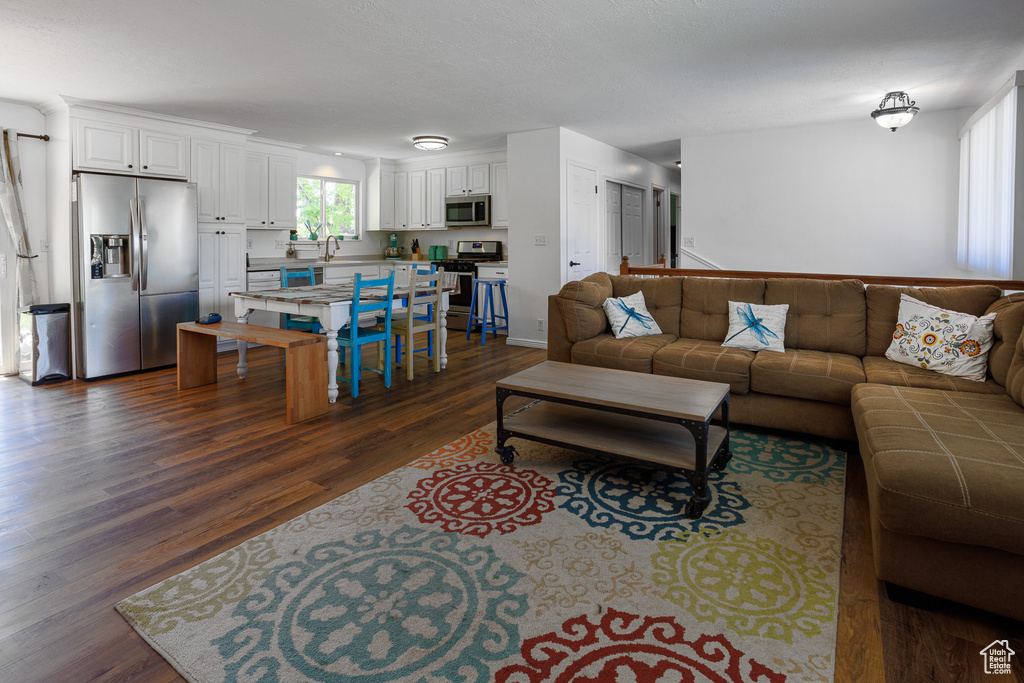 Living room with dark hardwood / wood-style floors and sink