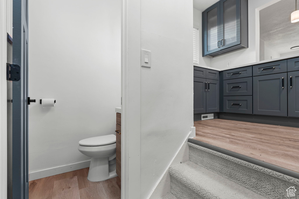 Bathroom with wood-type flooring, vanity, and toilet