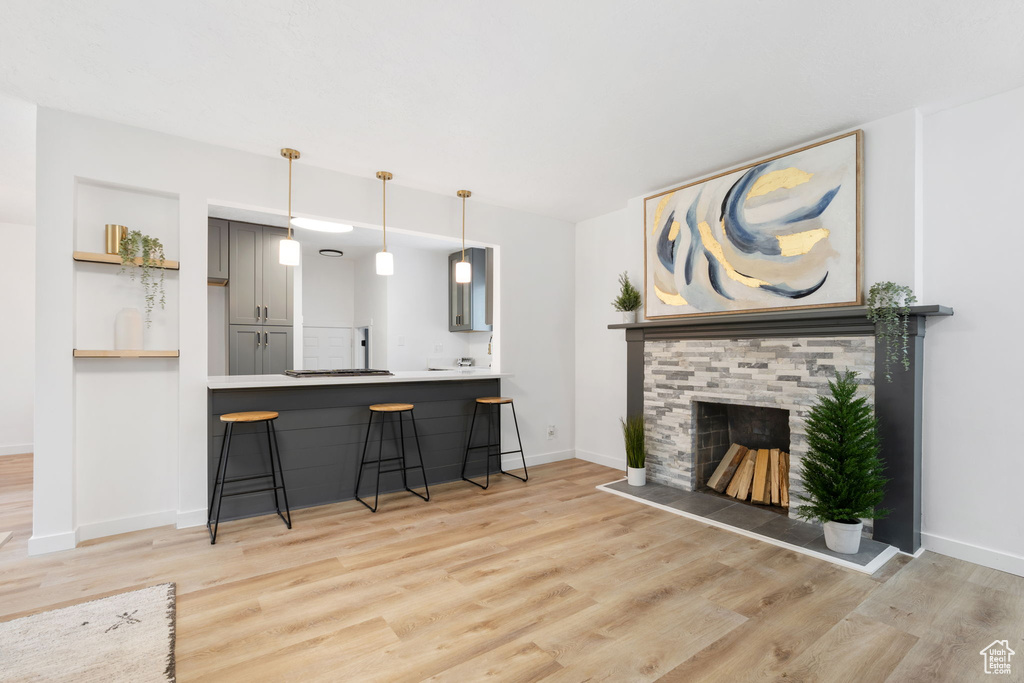 Living room featuring a fireplace and light hardwood / wood-style floors