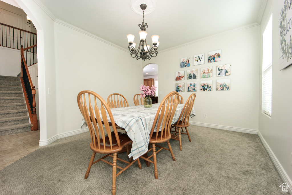 Carpeted dining area featuring a notable chandelier and ornamental molding