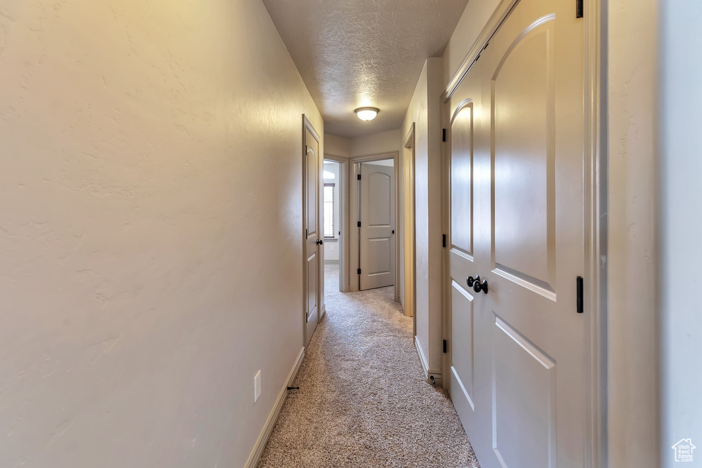 Hallway with carpet flooring and a textured ceiling