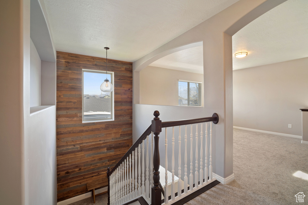 Stairway featuring carpet floors and wooden walls