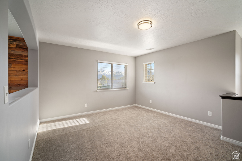 Unfurnished room with a textured ceiling and carpet floors