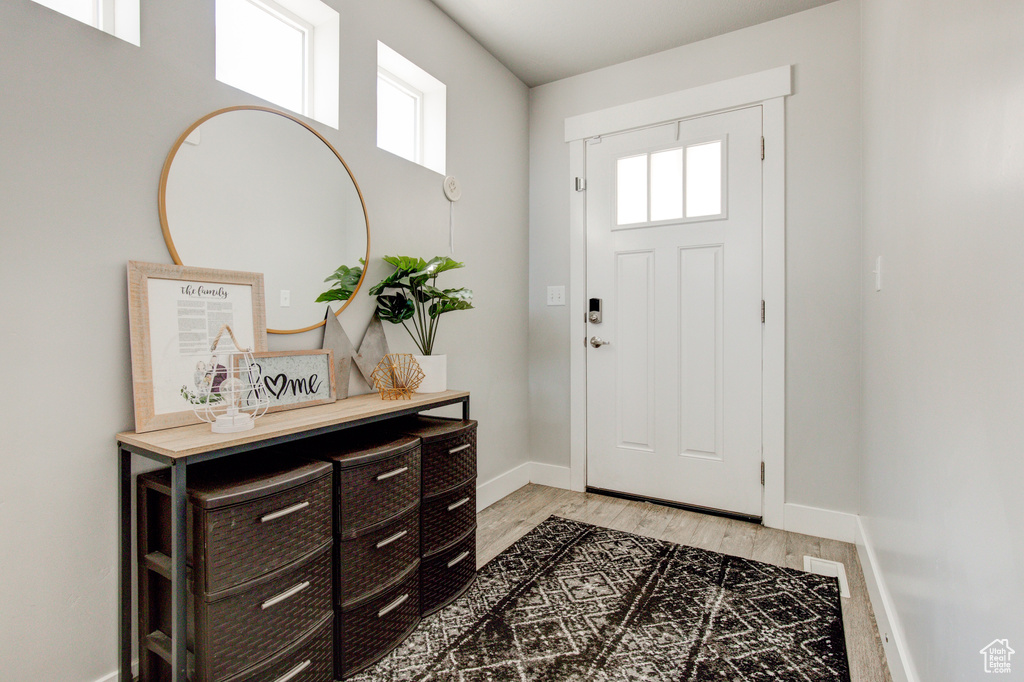Entryway featuring hardwood / wood-style flooring and a wealth of natural light