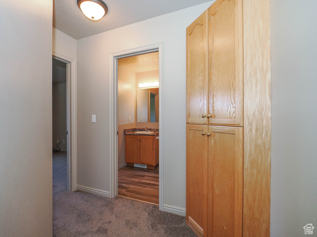 Hallway with sink and dark hardwood / wood-style flooring