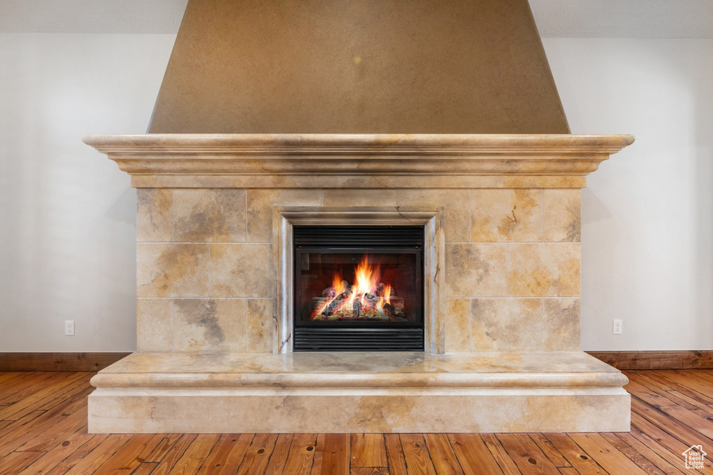 Room details with wood-type flooring and a fireplace