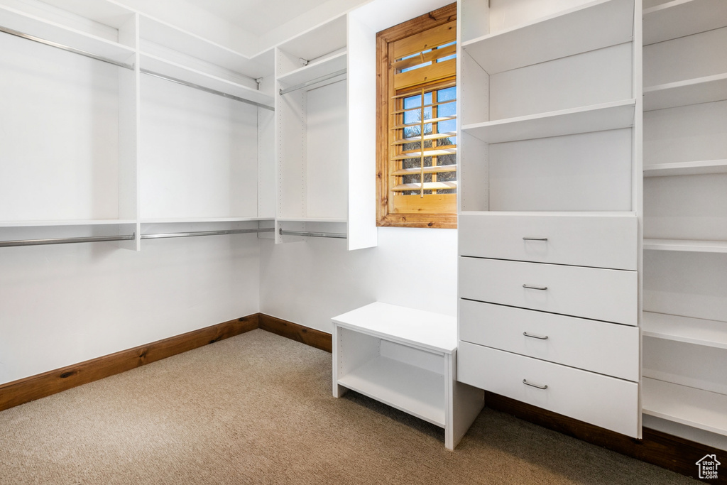 Walk in closet featuring carpet floors