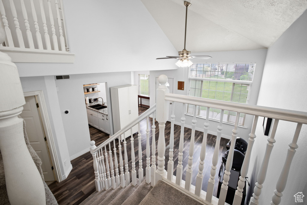 Stairway featuring high vaulted ceiling, dark hardwood / wood-style flooring, ceiling fan, and a healthy amount of sunlight