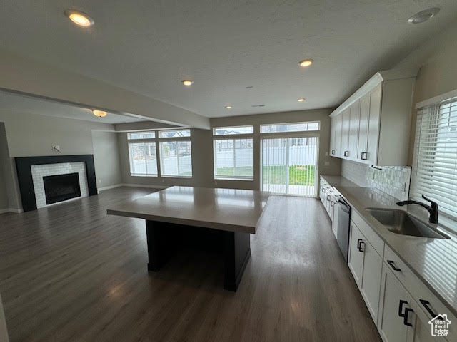 Kitchen featuring white cabinets, dark wood-type flooring, backsplash, stainless steel dishwasher, and sink