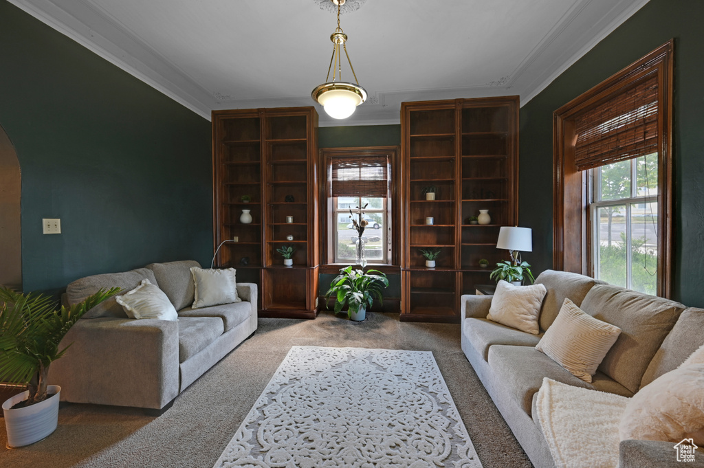 Living room with crown molding and carpet floors