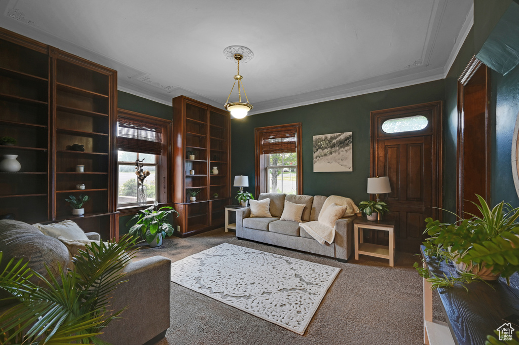 Living room featuring crown molding and carpet flooring