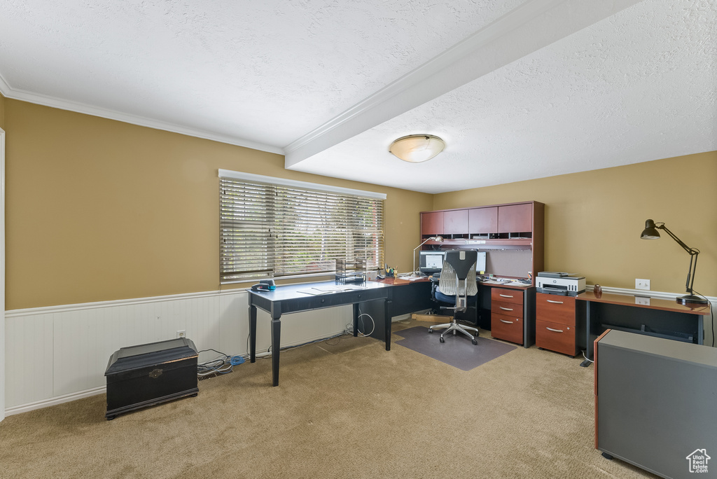 Office featuring a textured ceiling, carpet, and crown molding