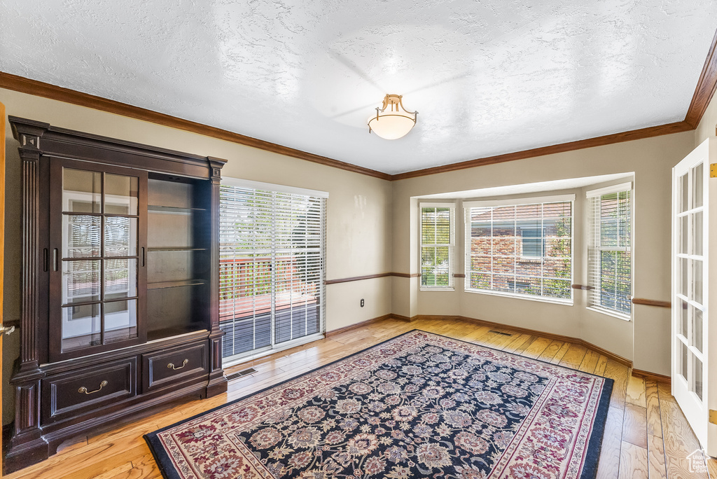 Spare room featuring ornamental molding, light hardwood / wood-style floors, and a healthy amount of sunlight