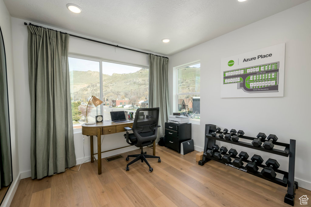 Office with a mountain view and light hardwood / wood-style flooring