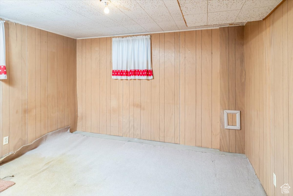 Carpeted spare room with wooden walls