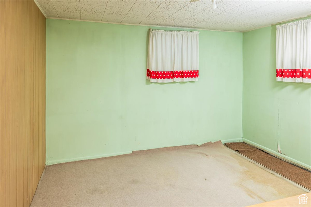 Carpeted empty room with wooden walls