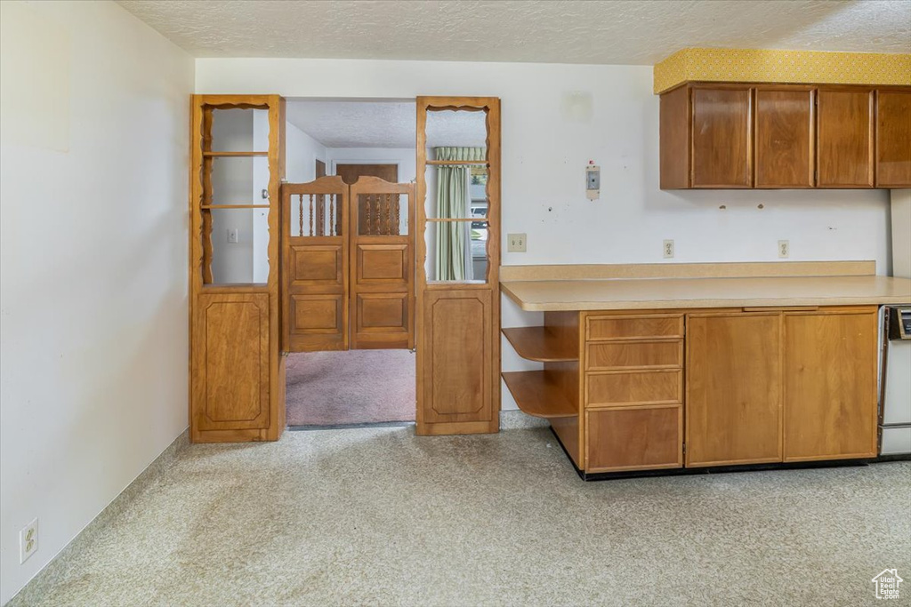 Kitchen with light carpet, a textured ceiling, and dishwashing machine