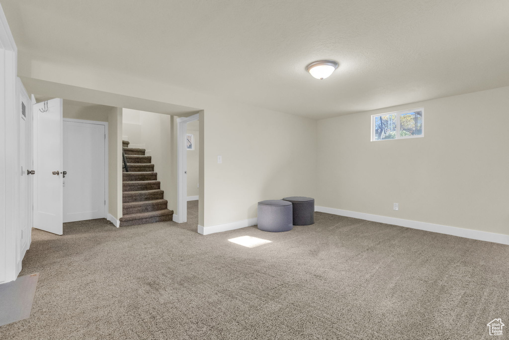 Basement with carpet floors