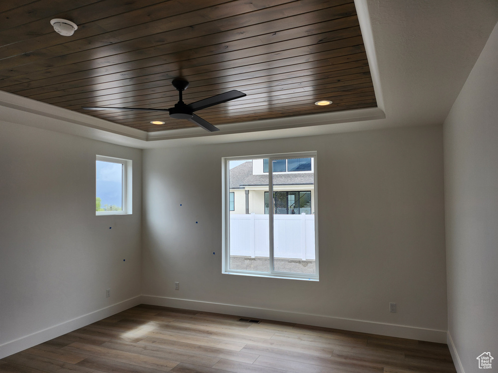 Empty room featuring light hardwood / wood-style flooring, a healthy amount of sunlight, and a raised ceiling