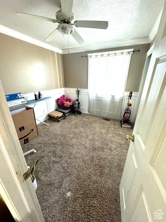 Bedroom with carpet, ceiling fan, crown molding, and a textured ceiling