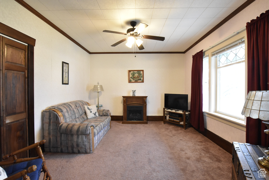Living room with ceiling fan, carpet, and crown molding