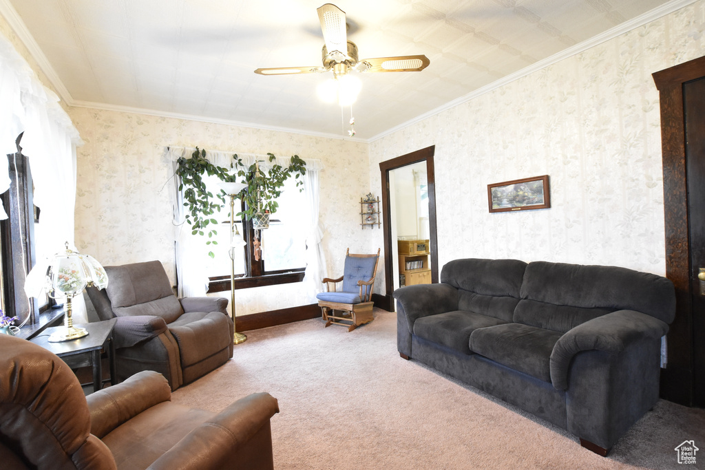 Carpeted living room featuring ornamental molding and ceiling fan