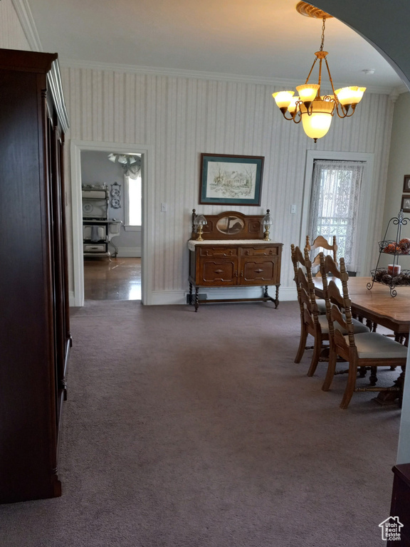 Carpeted dining room with a chandelier and crown molding