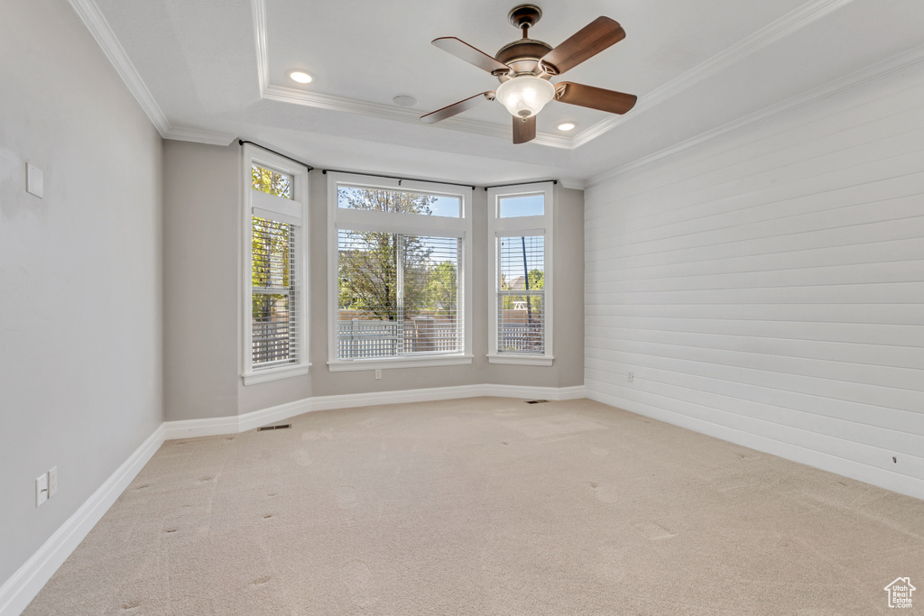 Carpeted empty room featuring ceiling fan, crown molding, and a tray ceiling