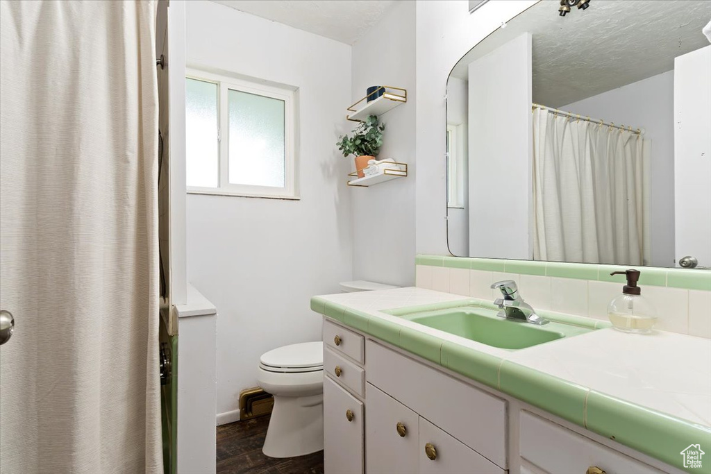 Bathroom with hardwood / wood-style flooring, tasteful backsplash, toilet, and large vanity
