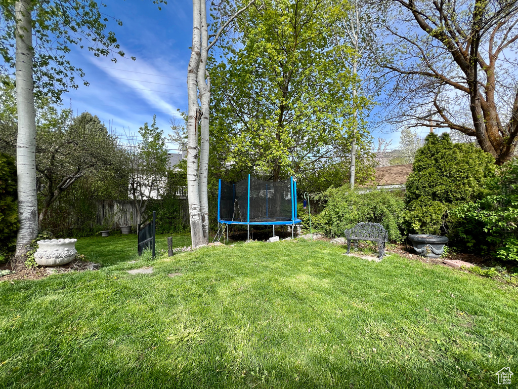 View of yard with a trampoline