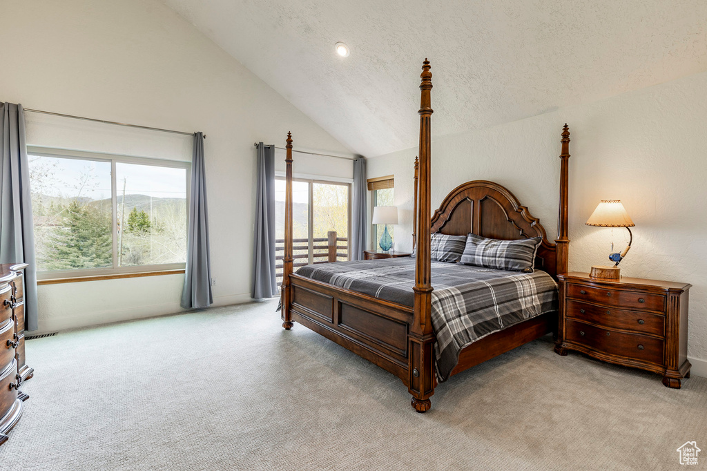 Carpeted bedroom featuring high vaulted ceiling and a textured ceiling