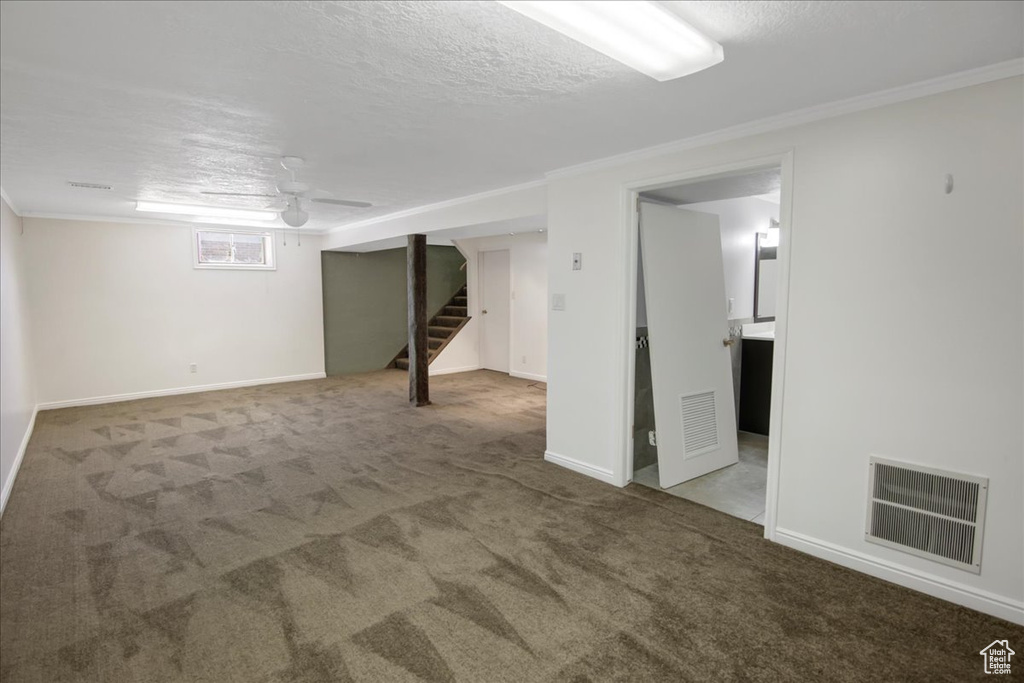 Basement with carpet floors and crown molding