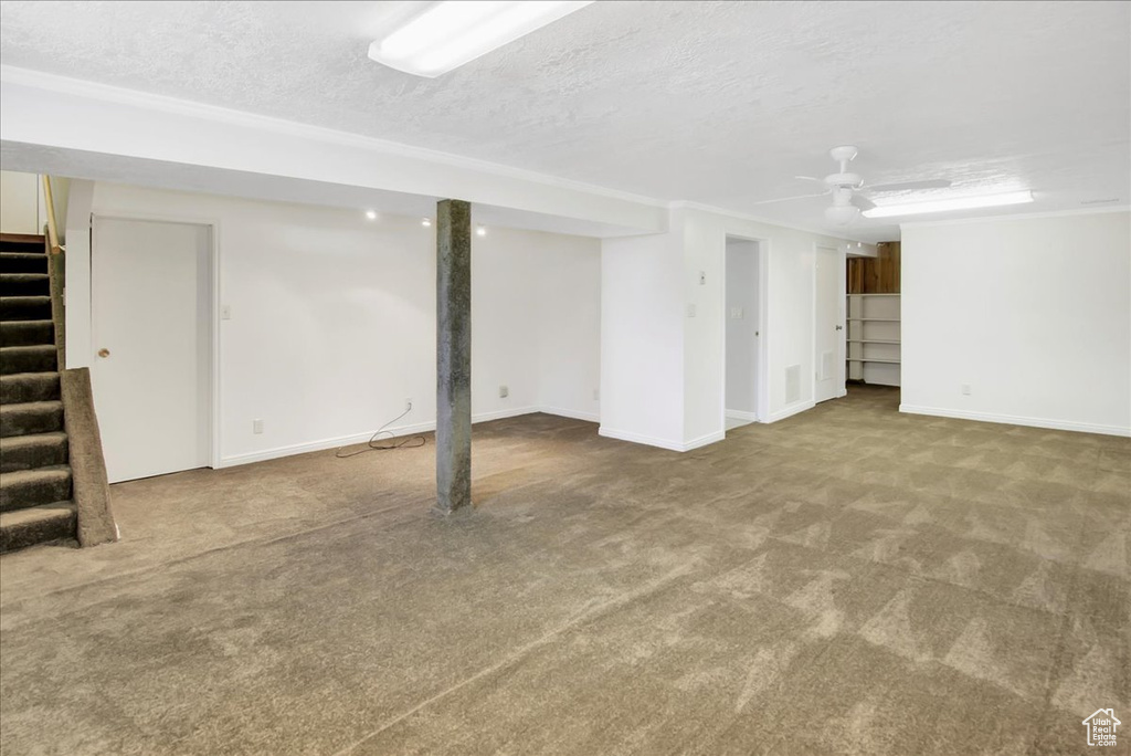 Basement with carpet, ceiling fan, and a textured ceiling